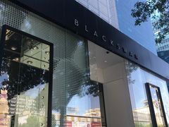 -BLACKSWAN黑天鹅(环球店)