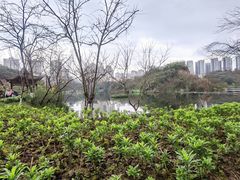 -重庆彩云湖湿地公园