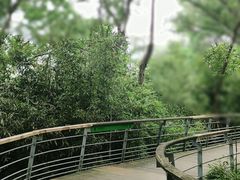 -西湖风景区-江洋畈生态公园