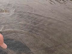 -丁香湖公园