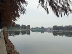 -东湖落雁景区