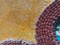 -兰陵国家农业公园