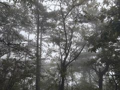 -罗田薄刀峰风景区