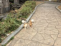 -珠海圆明新园