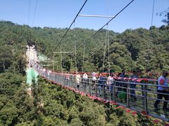 -九龙江国家森林公园