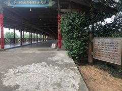 -福建鲤鱼洲酒店