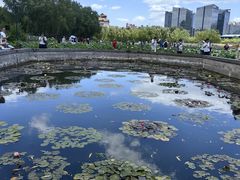 -莲花池公园