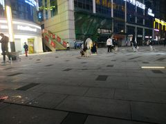 -重庆国际马戏城