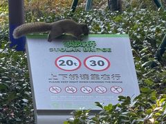 -东钱湖小普陀景区