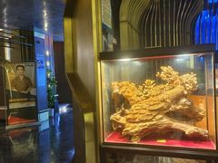 -索拉古贝(义乌北苑店)