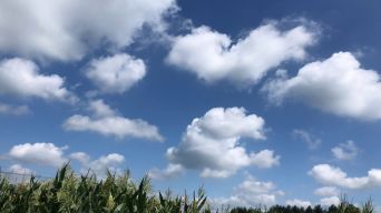 二井中学1条评价肇州县初中肇州三中1条评价肇州县中心城区高中肇州县