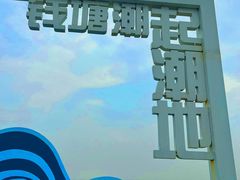 -杭州湾海上花田景区