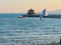 -栈桥景区