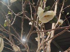 -韩盛·盛江山自助料理(于洪新玛特店)