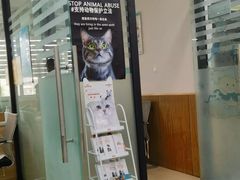 -瑞派雷欧宠物医院·24h夜诊·心脏骨科牙科·全科重症转诊中心(无影山店)