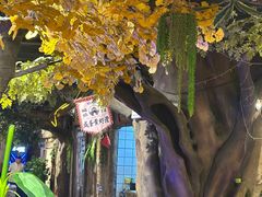 -城墙拐拐火锅(三峡广场黑金冠店)