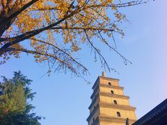 -大慈恩寺(大雁塔)