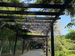 -九龙潭景区