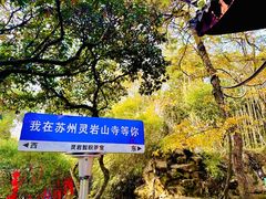 -灵岩山风景区