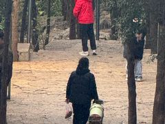 -云龙山