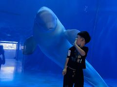 -多彩贵州城极地海洋世界