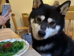 -柴の食堂·日式家庭料理·熊之肆(大学路店)