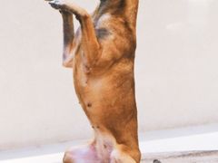 -富邦华一银行(新天地支行)