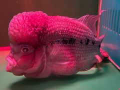 -青岛海底世界-水族馆