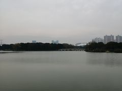 -昆山城市生态森林公园