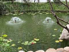 -山东省千佛山医院