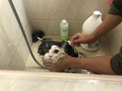 -爱诺耐芙动物医院(万博店)