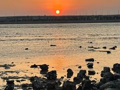 -宝安西湾红树林湿地公园