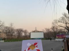 -枫花园汽车电影院(朝阳公园店)