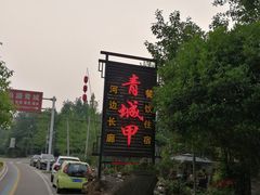 -青城甲(青城山店)