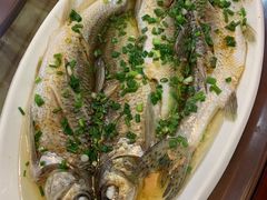清蒸激浪鱼-呼吸森林·生态农庄农家乐私房菜