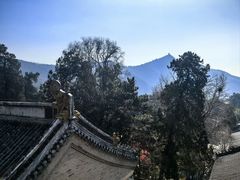 -潭柘寺景区