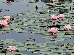 -白鹭湾湿地公园