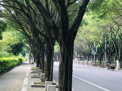 -南宁南湖公园