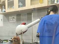 -宠福鑫康馨动物医院·骨科·眼科