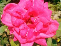 -人民公园(罗湖区)