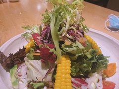 蔬菜沙拉-Hatsune隐泉日式料理(SKP店)
