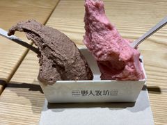 -野人先生现做冰淇淋(北京顺义祥云小镇店)