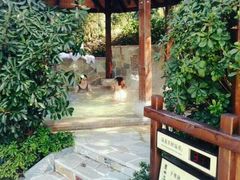 android_upload_pic-天目湖涵田半山温泉水乐园