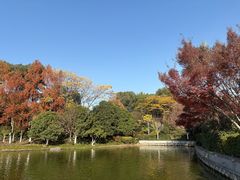 -杭州城北体育公园