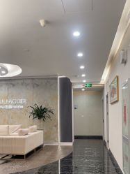 -上海首尔丽格医疗美容医院