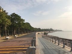-深圳湾公园(南山区)