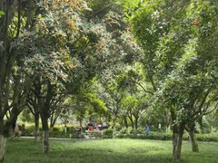 -找不到凉面(新都粮食局毗河油厂职工宿舍大院店)