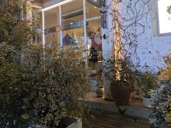 -春树下·树屋花房西餐厅(罍街AS1980店)