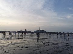 -碧海金沙