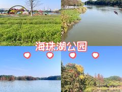 -海珠湖公园
